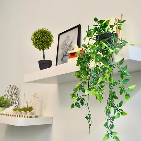 Sp Loft * فولوس